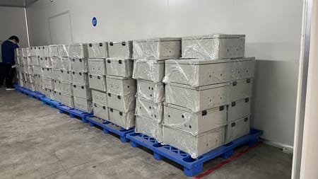 warehouse-1
